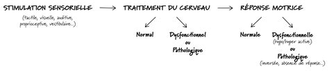 intégration réflexes archaiques